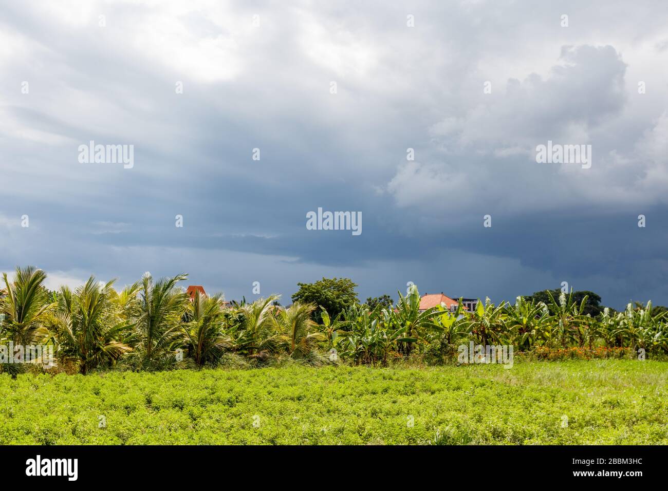 Stürmisches Wetter in der Regenzeit auf Bali, natürliche Landschaft. Indonesien. Stockfoto