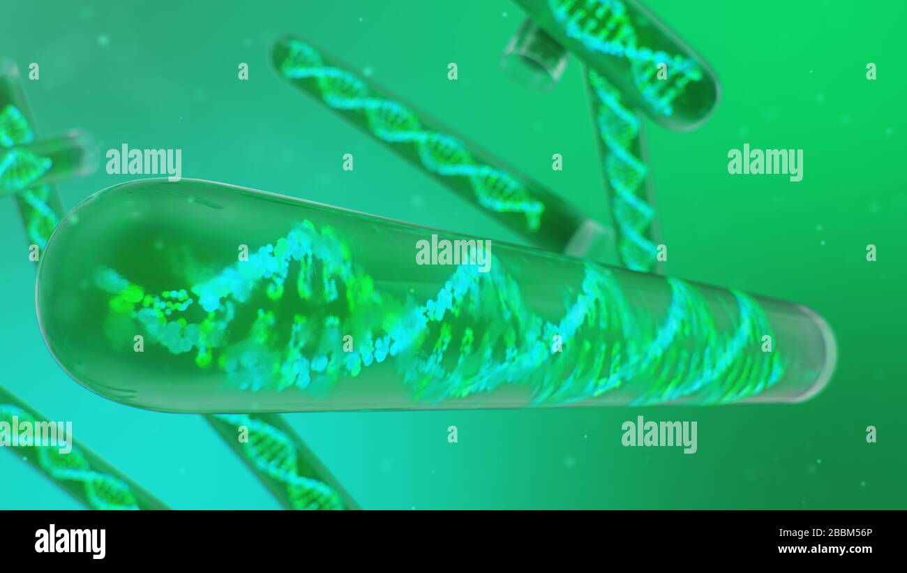 DNA-Molekül, seine Struktur. Konzept des menschlichen Genoms. DNA-Molekül mit modifizierten Genen. Konzeptionelle Abbildung eines dna-Moleküls innerhalb eines Glastests Stockfoto