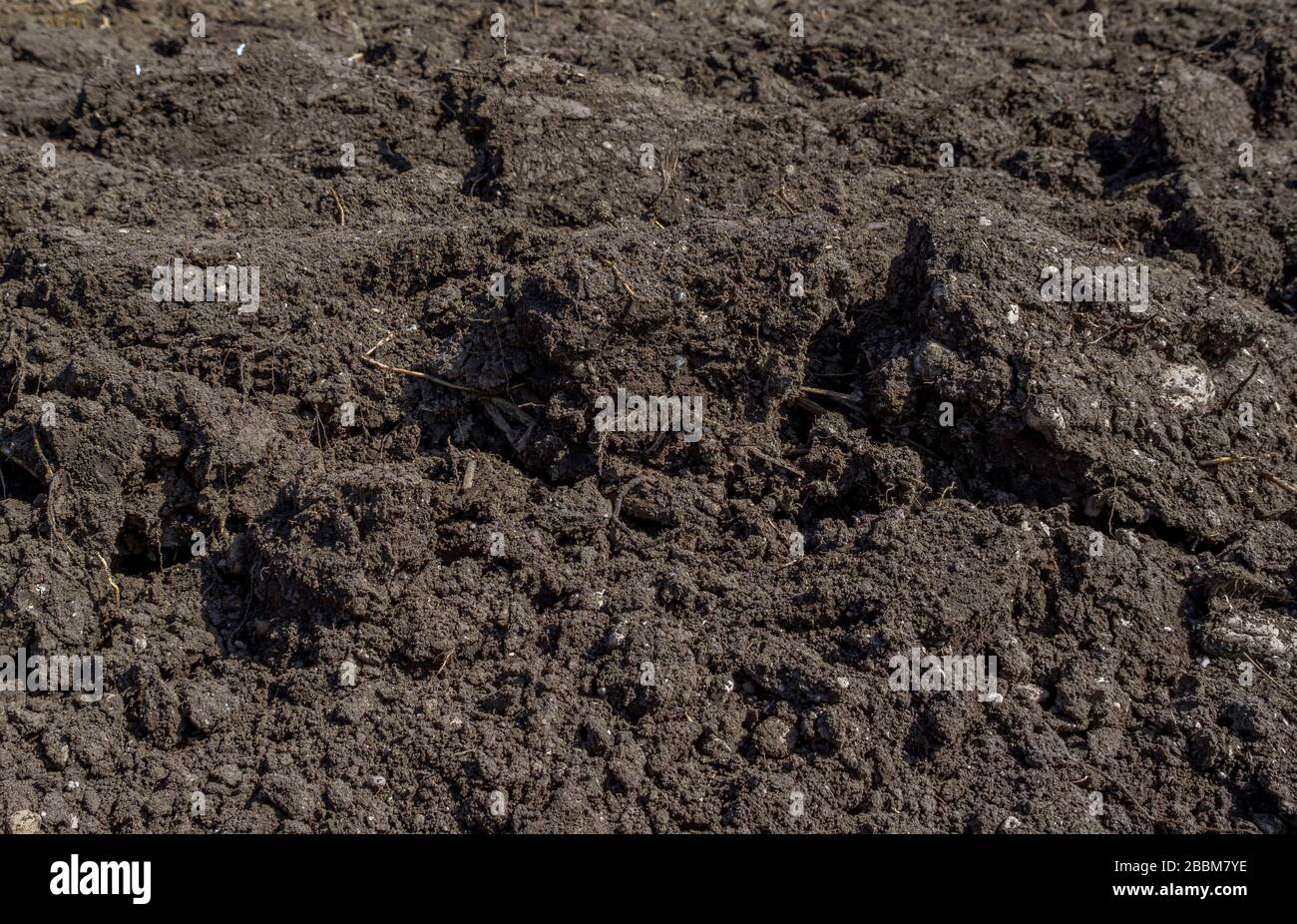 Frisch gepflügt im Frühjahr, Bayern, Deutschland, Europa Stockfoto