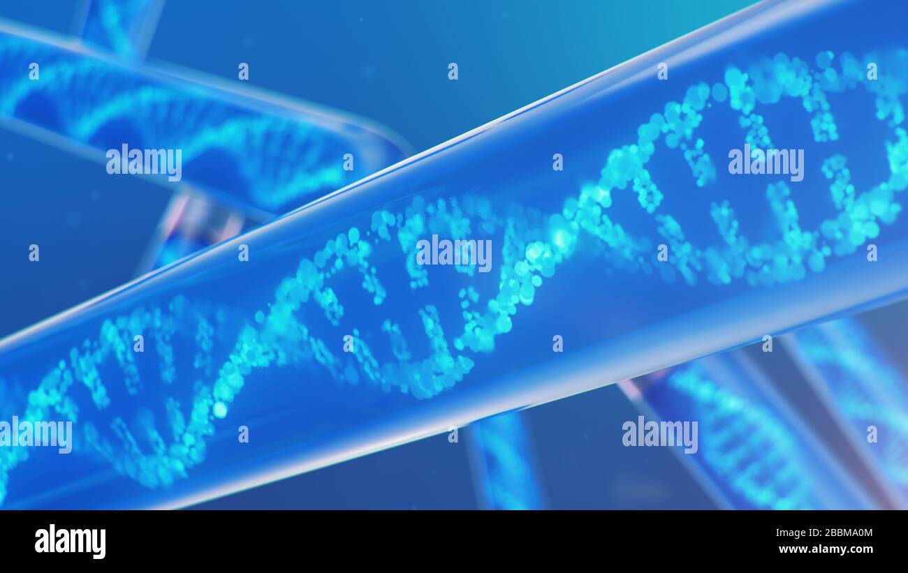DNA-Molekül, seine Struktur. Konzept des menschlichen Genoms. DNA-Molekül mit modifizierten Genen. Konzeptionelle Abbildung eines dna-Moleküls innerhalb eines Glastests Stockfoto