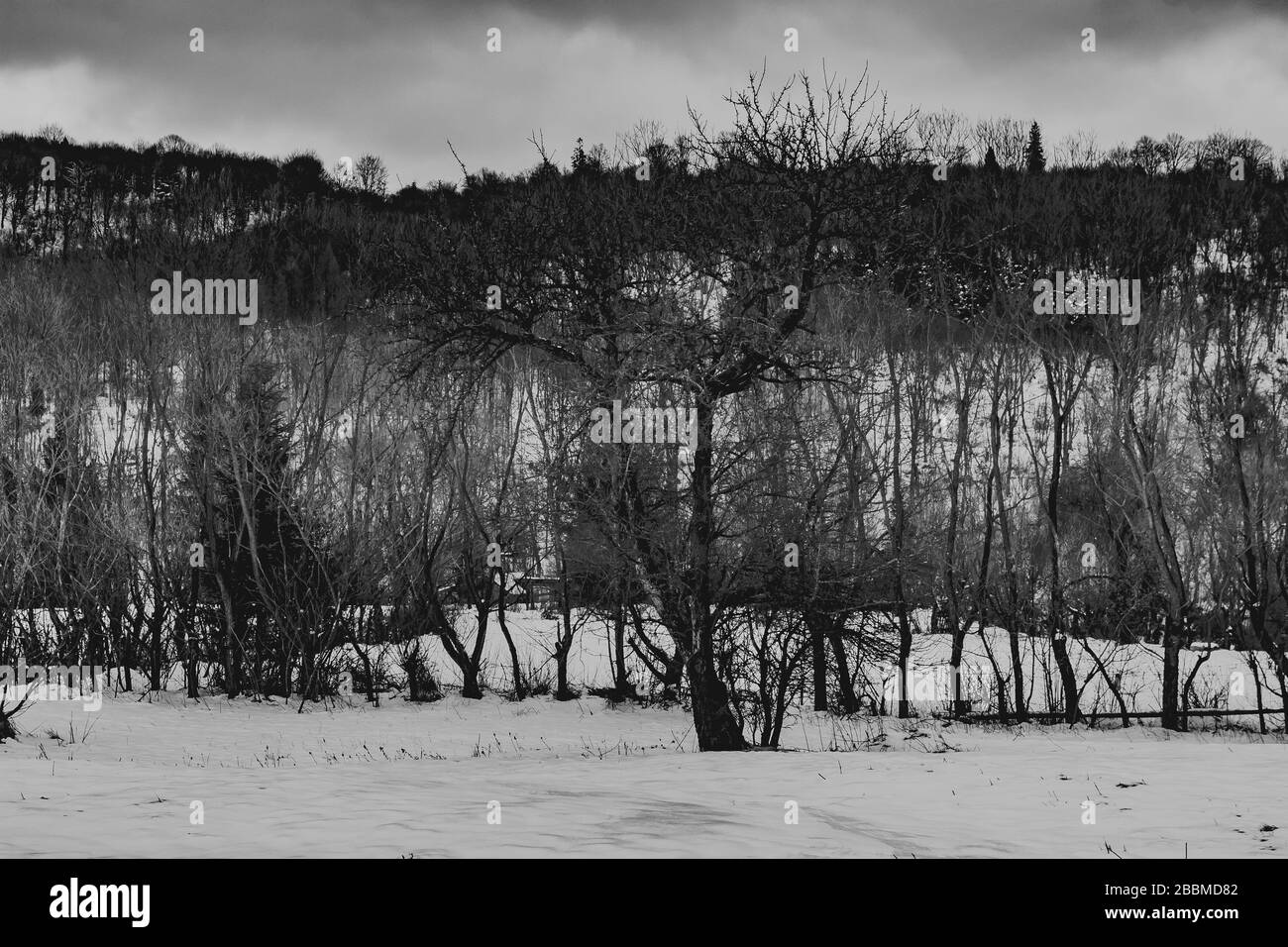 Zatwarnica im Bieszczady Gebirge in Polen Stockfoto