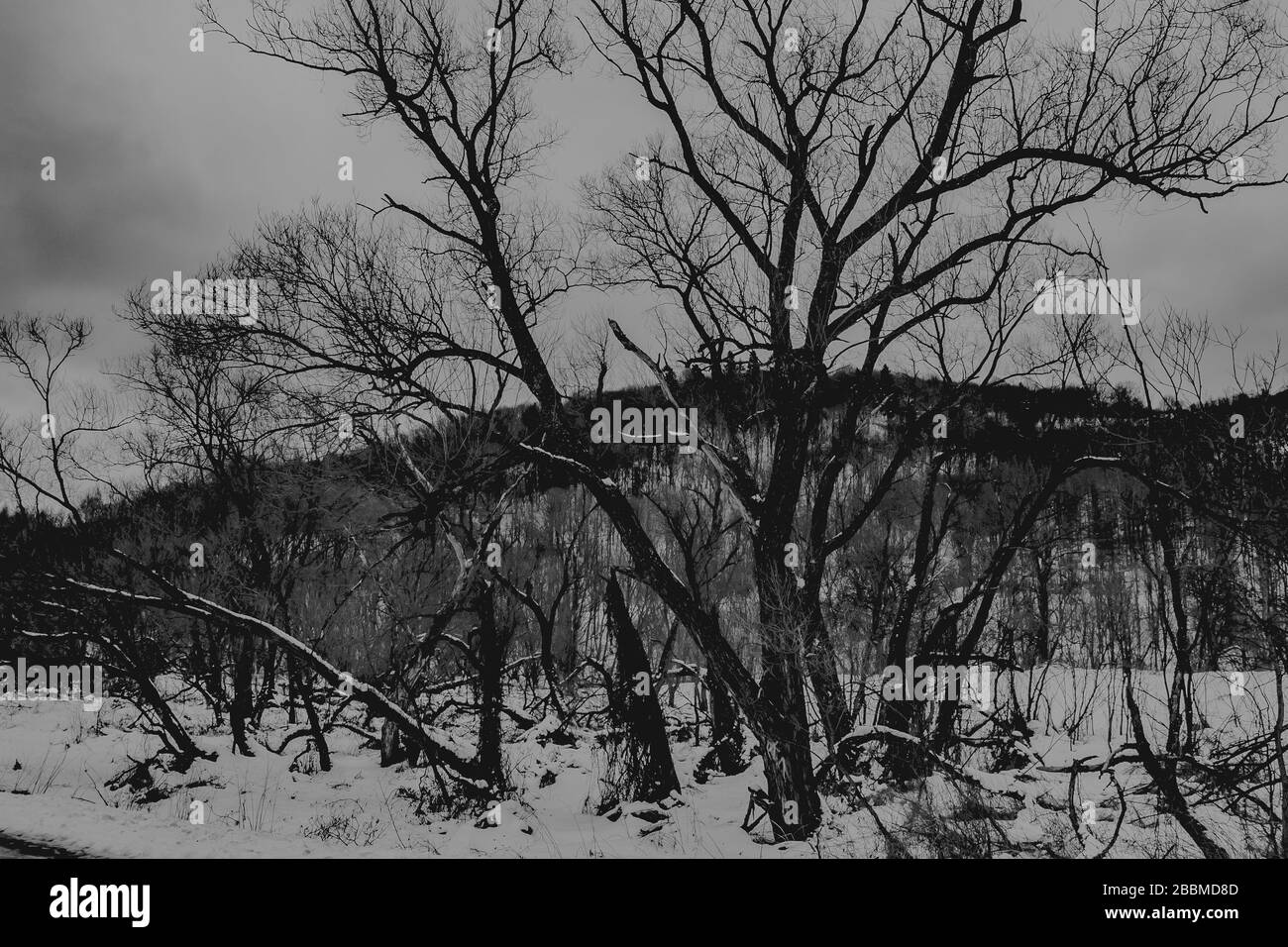 Zatwarnica im Bieszczady Gebirge in Polen Stockfoto