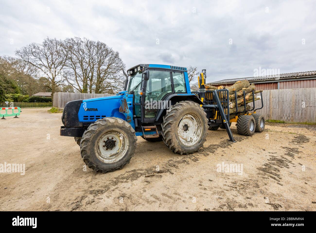 Großer blauer finnischer Traktor Valtra 6550 mit Kabine und 4 großen, müden Rädern, mit einem Anhänger voller felliger Kiefernstämme, Surrey, Südostengland Stockfoto
