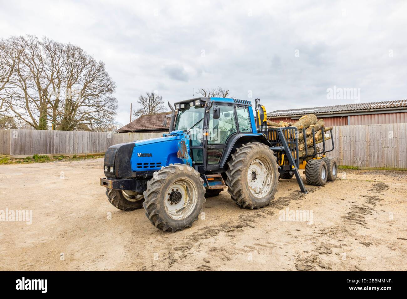 Großer blauer finnischer Traktor Valtra 6550 mit Kabine und 4 großen, müden Rädern, mit einem Anhänger voller felliger Kiefernstämme, Surrey, Südostengland Stockfoto