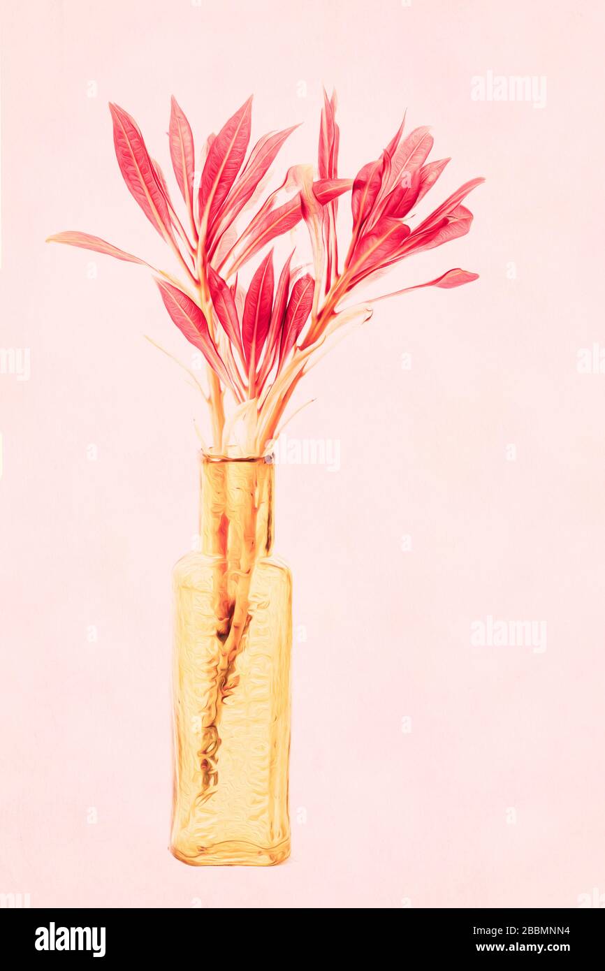 Photinia Red Robin in der gelben Flasche Stockfoto
