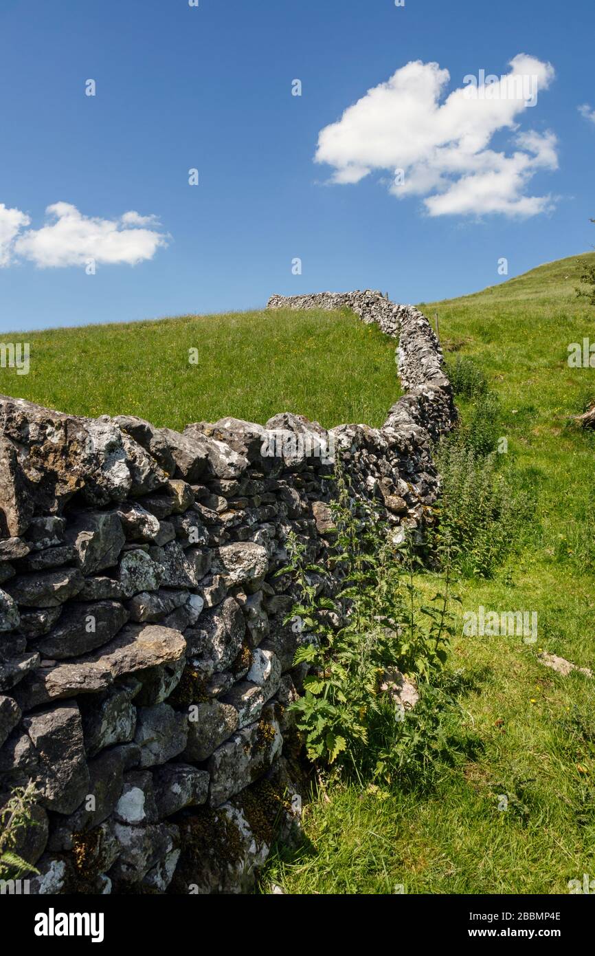 Trockenmauern im Peak District National Park, England Stockfoto