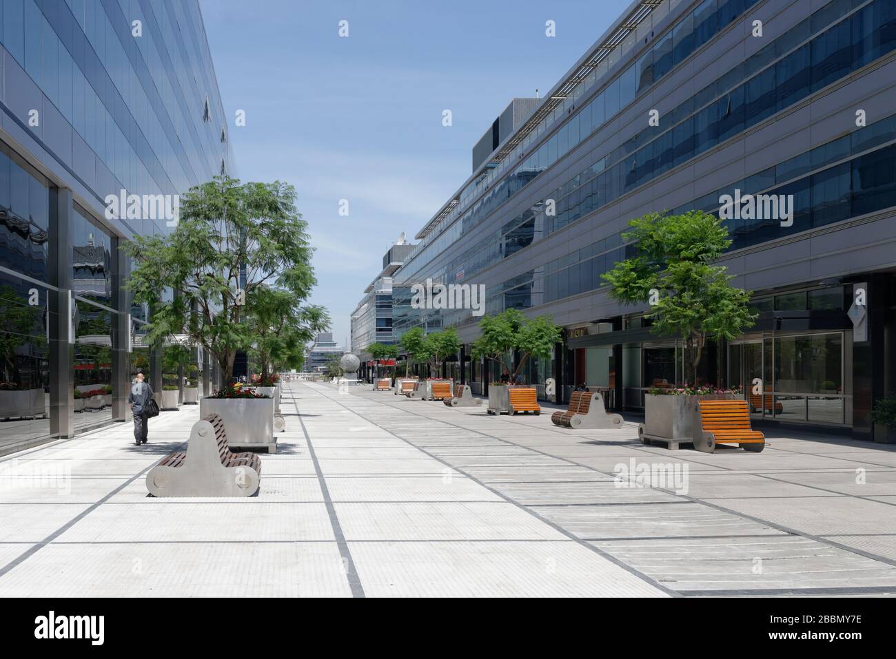 Breite moderne Allee mit jungen Bäumen, die vom Hilton Hotel, Puerto Madero, Buenos Aires, Argentinien gepflanzt wird Stockfoto