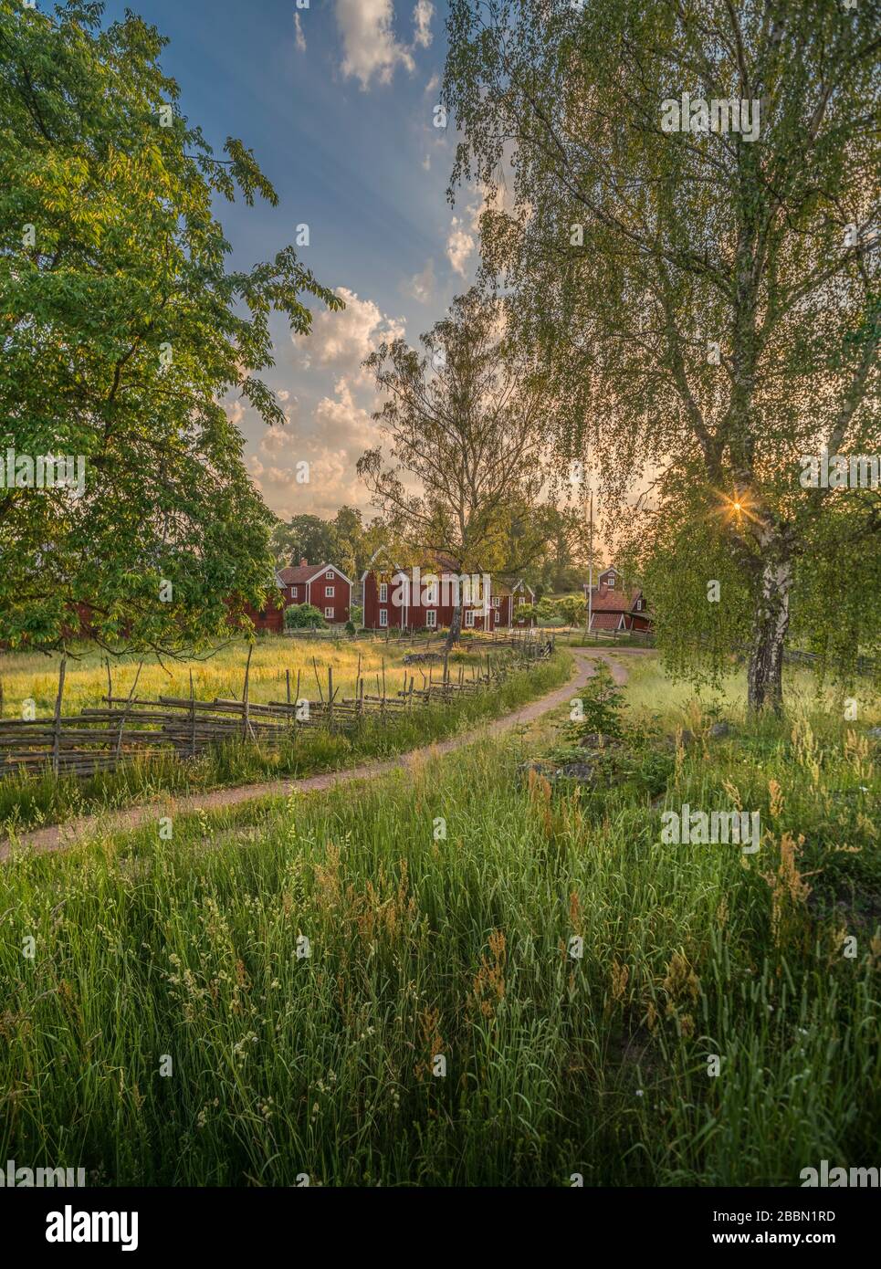 Kleine Landstraße und alte rote Cottages in ländlicher Landschaft im Dorf Stensjo by. Oscarshamn, Smaland, Schweden, Skandinavien Stockfoto