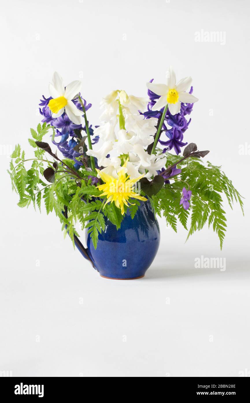 Frühlingsblumen in einer blauen Kanne. Hyazinths, Narzisse und Veilchen. Stockfoto