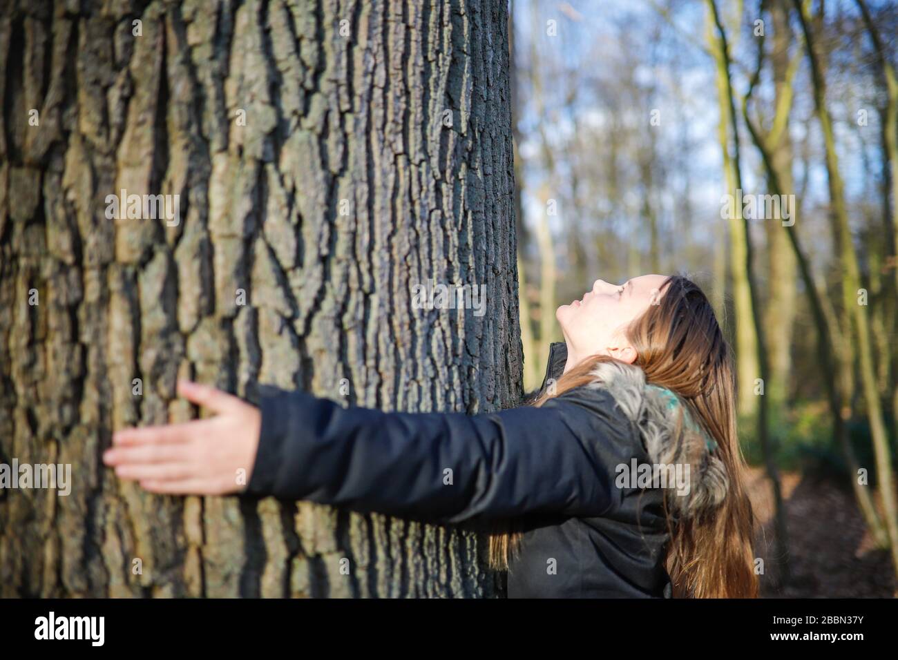Ein 11 Jahre altes Mädchen umarmt den Stamm eines riesigen Baumes Stockfoto