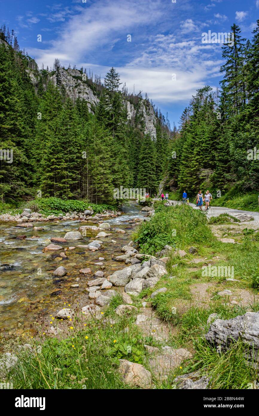 Spaziergänger auf einem gut erreichbaren Weg im Tal von Kościeliska, in der Nähe von Kiry, Zakopane, Polen. Juli 2018. Stockfoto