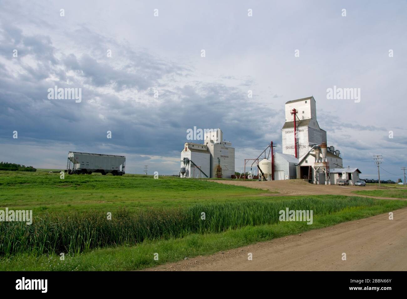 Kornelevator in Shaunavon in Saskatchewan Kanada Stockfoto