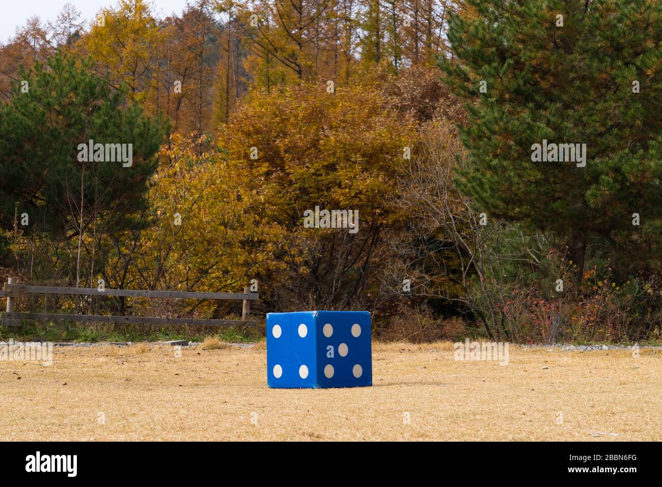 Blaue riesige Würfel im Zentrum eines Parks. Stockfoto