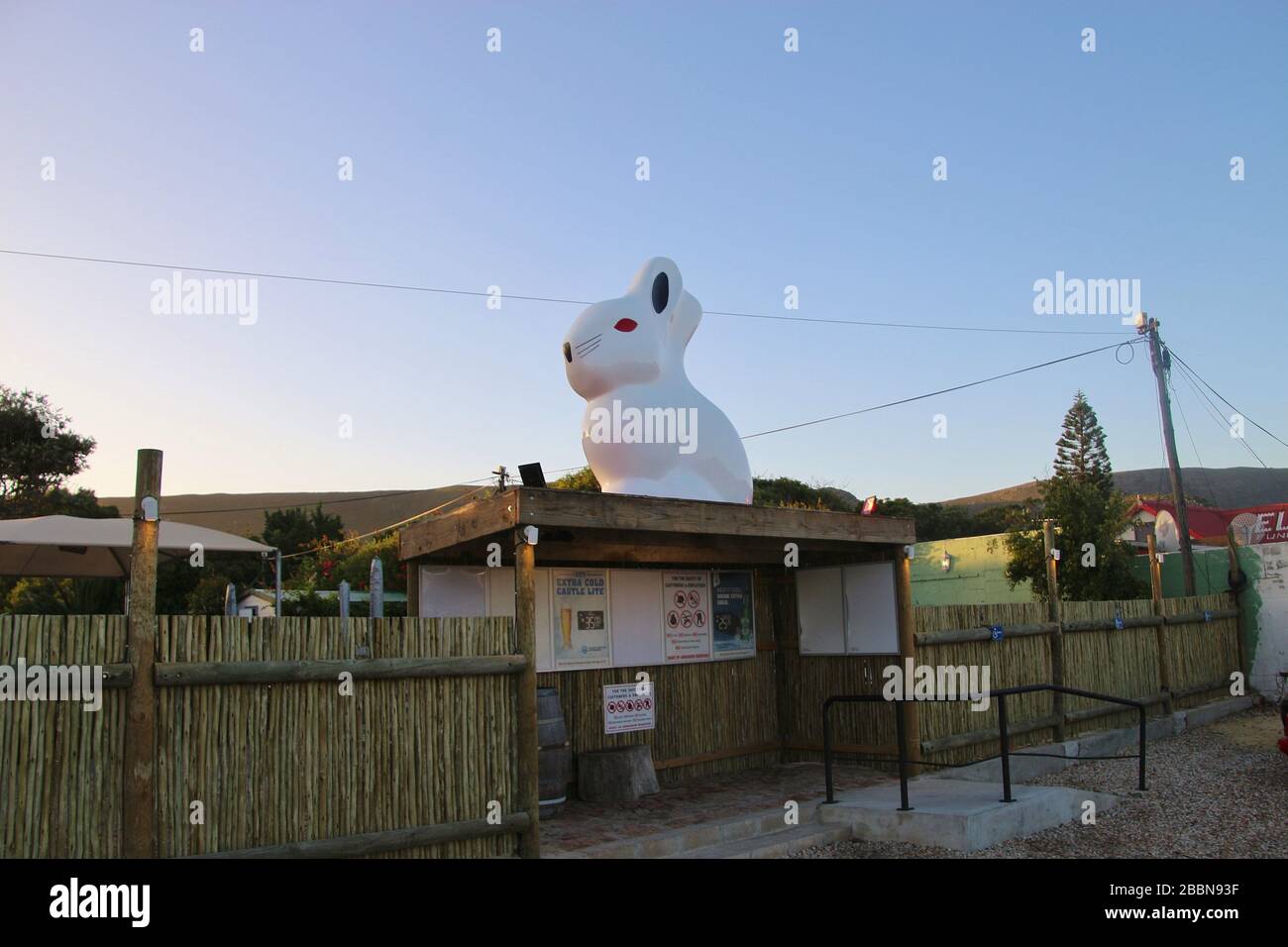 Busbahnhof und riesiges weißes Kaninchen als Dekoration für einen Pub. In der Stadt Hermanus, Garden Route, Südafrika, Afrika. Stockfoto