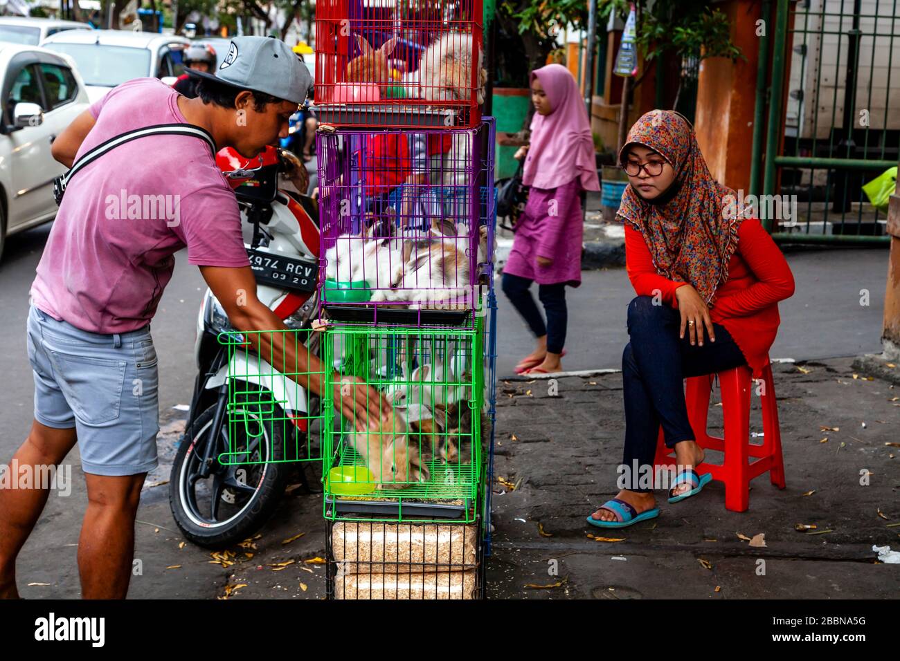 Haustierkaninchen Zu Verkaufen, Jakarta, Indonesien. Stockfoto