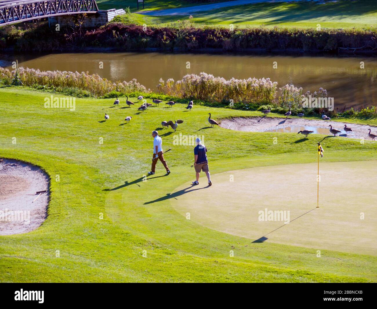 Golfplatz und Golfer im Herbst oder Herbst gewinnen Ontario, Kanada, Nordamerika Stockfoto