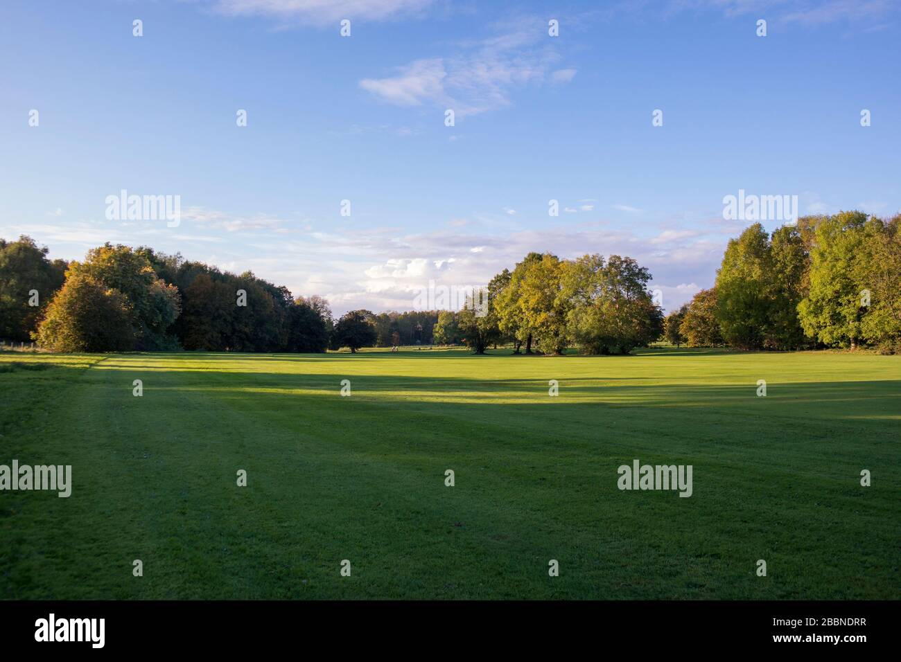 Sonniger Herbstabend Spaziergang durch den Golfplatz Stockfoto