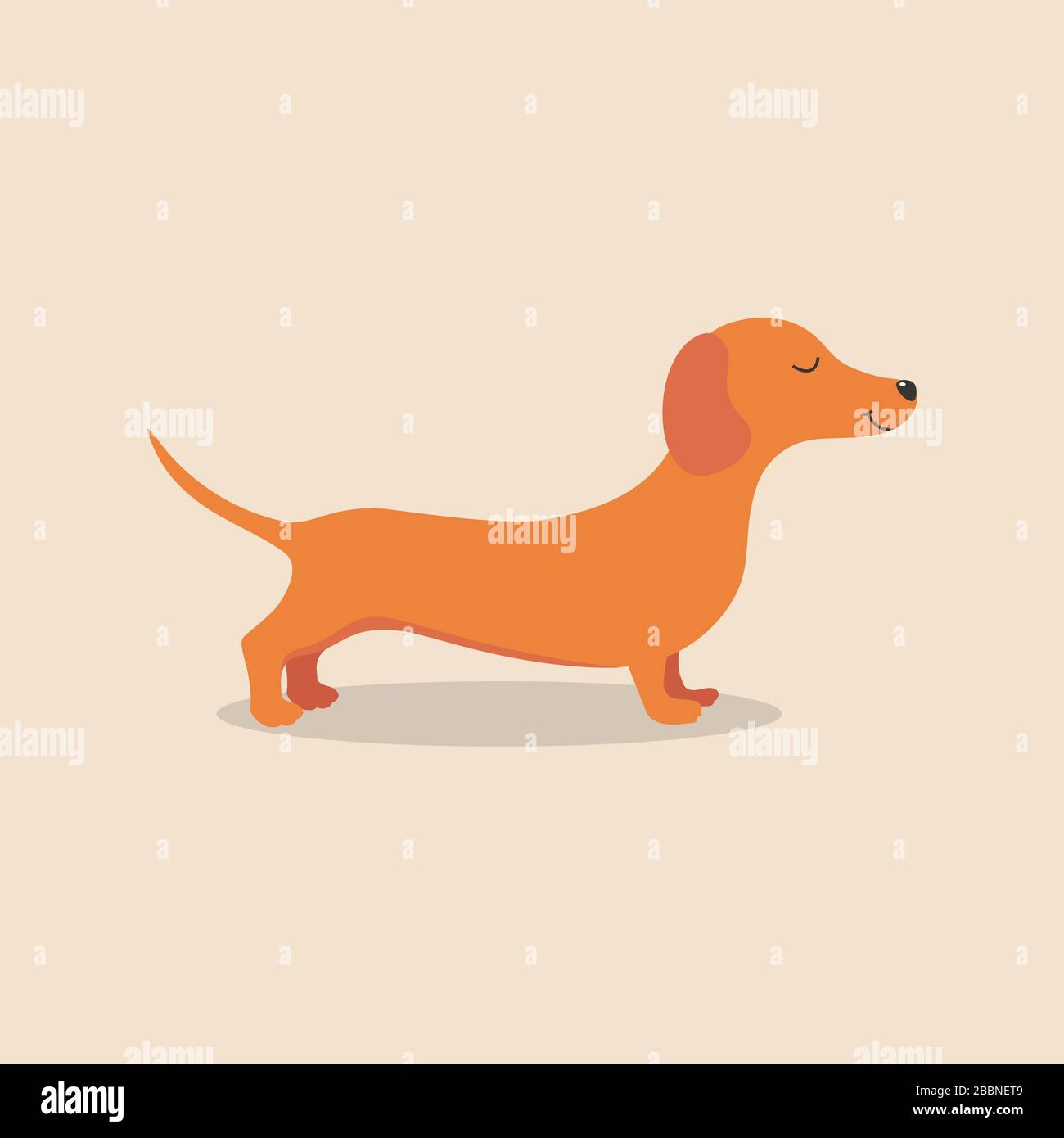 Dachshund Hundetier. Vektorgrafiken Stock Vektor