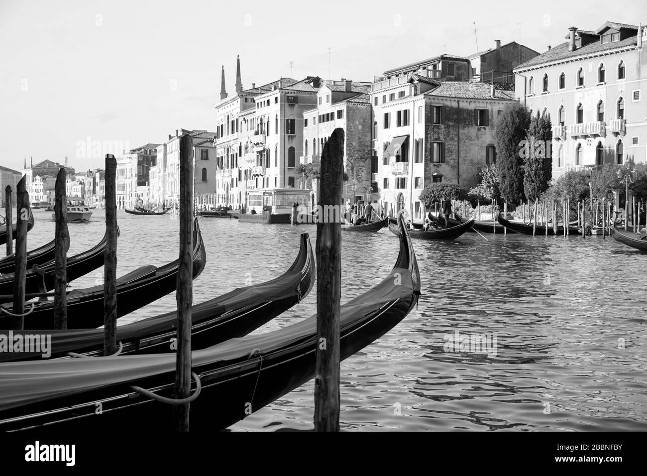 Gondeln am Canal Grande in Venedig, Norditalien. Schwarzweißfoto. Fotorealismus. Stockfoto