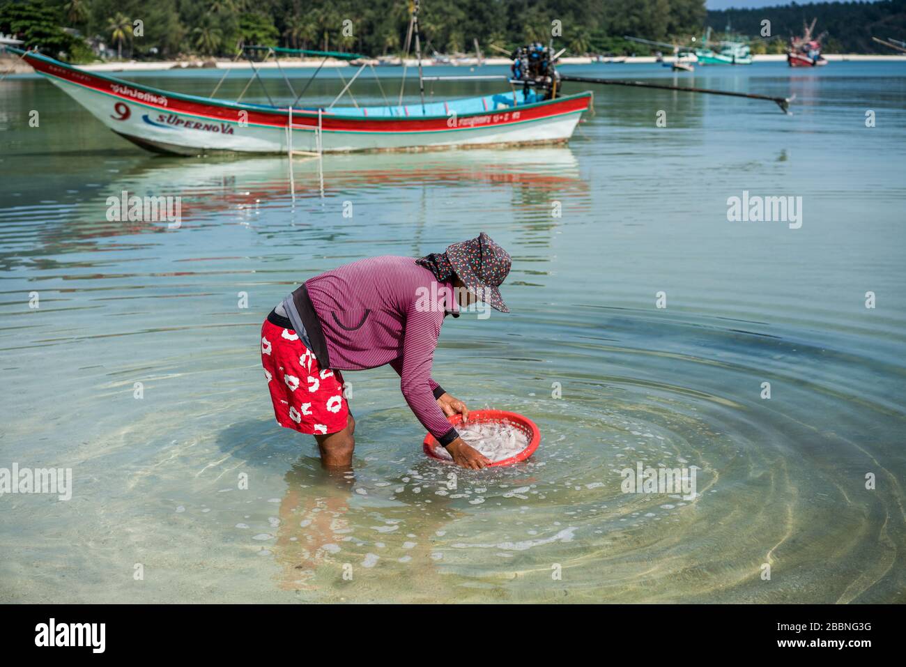 Fischtrocknung am Strand, Ko Pha Ngan Insel, Thailand, Asien Stockfoto