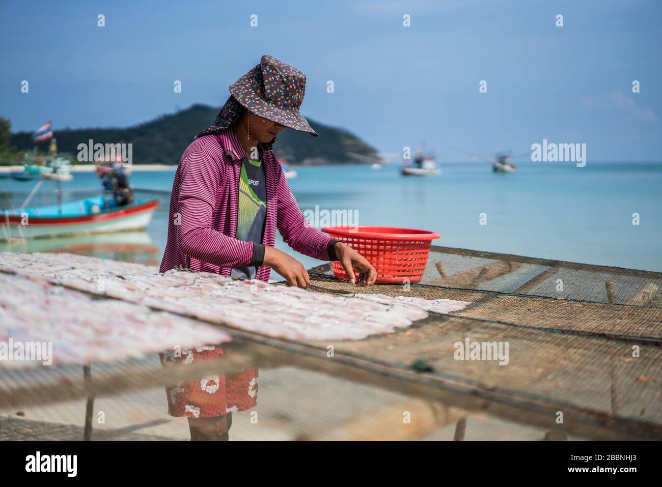 Fischtrocknung am Strand, Ko Pha Ngan Insel, Thailand, Asien Stockfoto