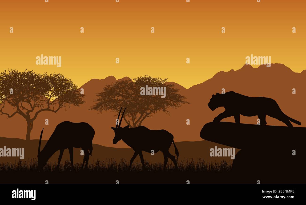 Abbildung: Afrikanische Landschaft und Safari. Ein Löwin oder Leopard jagt zwei Antilope. Orangefarbener Himmel mit Bergen und tropischen Bäumen - Vektor Stock Vektor