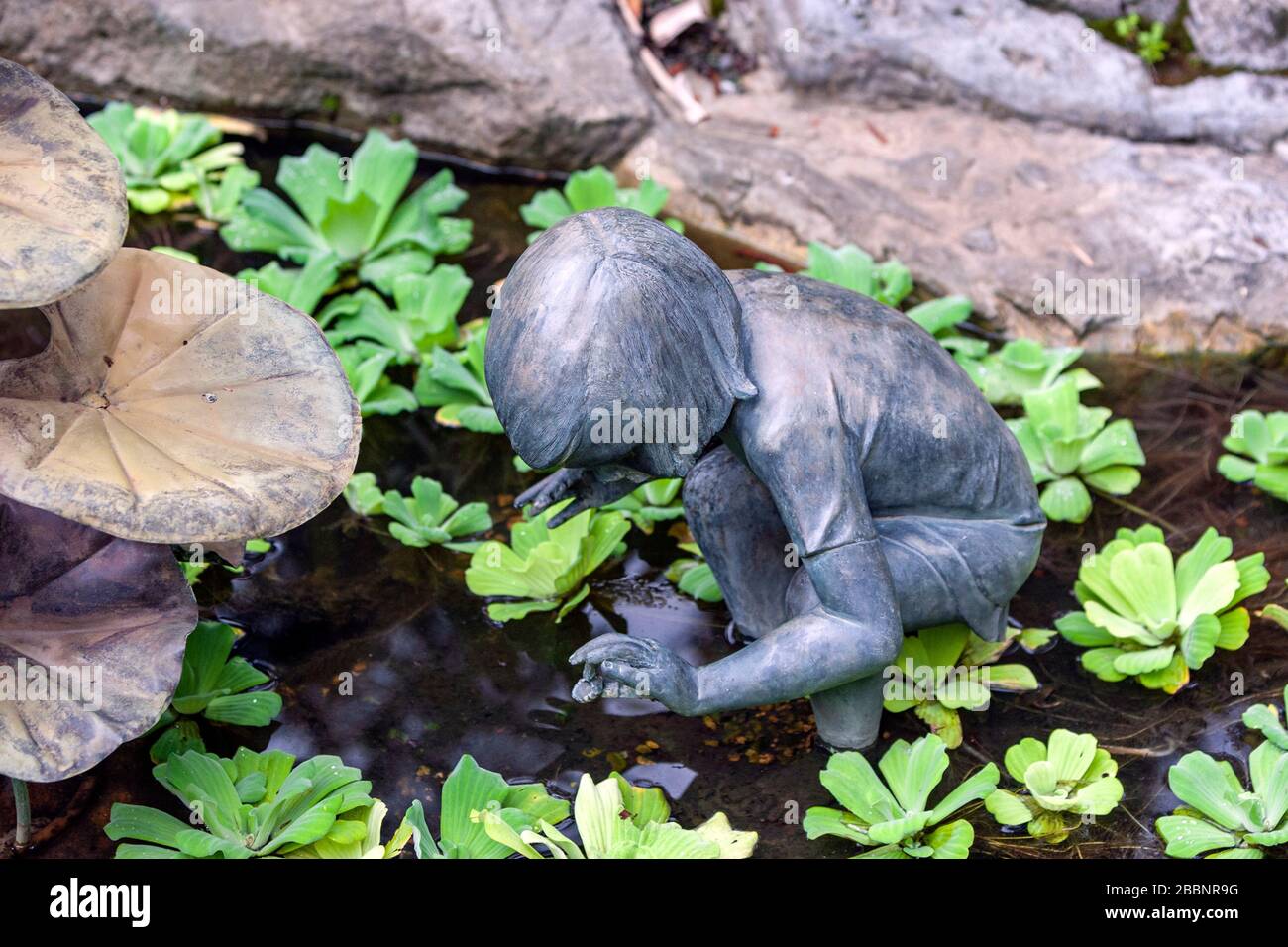 Junge mit einer Münzskulptur im National Orchid Garden, Singapore Botanic Gardens, Singapur Stockfoto