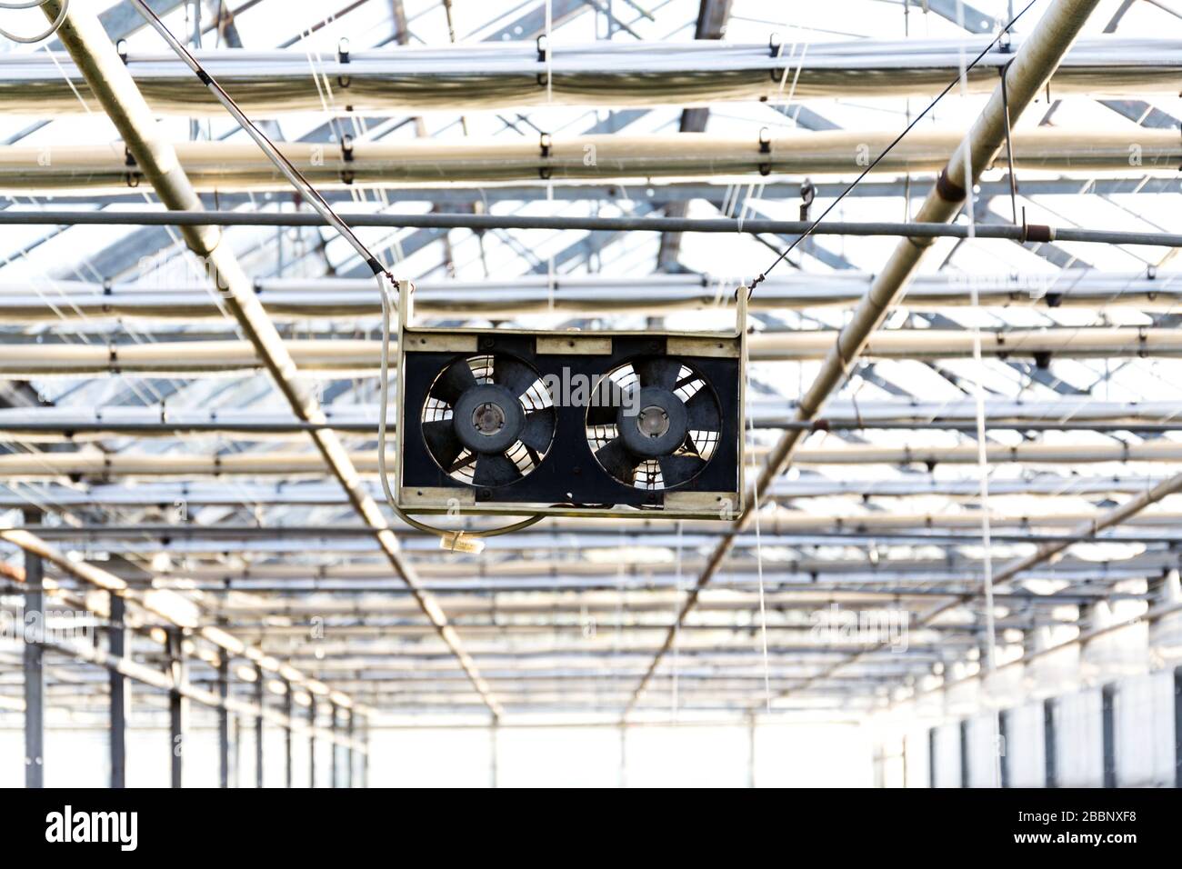 Paar schwarze Kleinflüfter unter dem Dach eines Gewächshauses, einer Klimaanlage, einer Hitzewelle oder eines Konzepts zur Erderwärmung Stockfoto