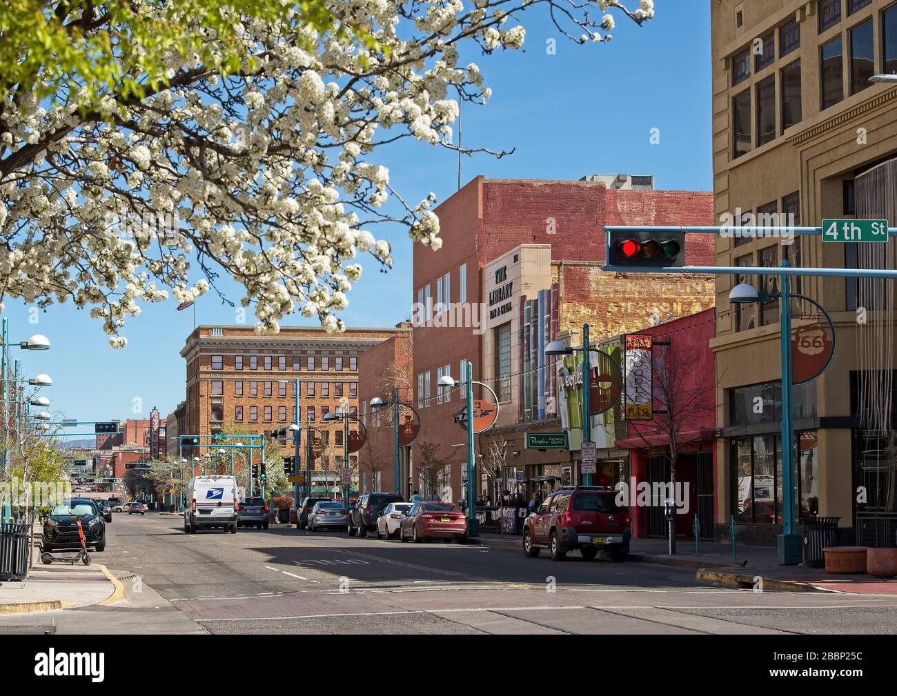 Blühende Bäume an der Central Ave. In Albuquerque zeigen ein geringes Verkehrsaufkommen aufgrund einer Pandemie. Stockfoto
