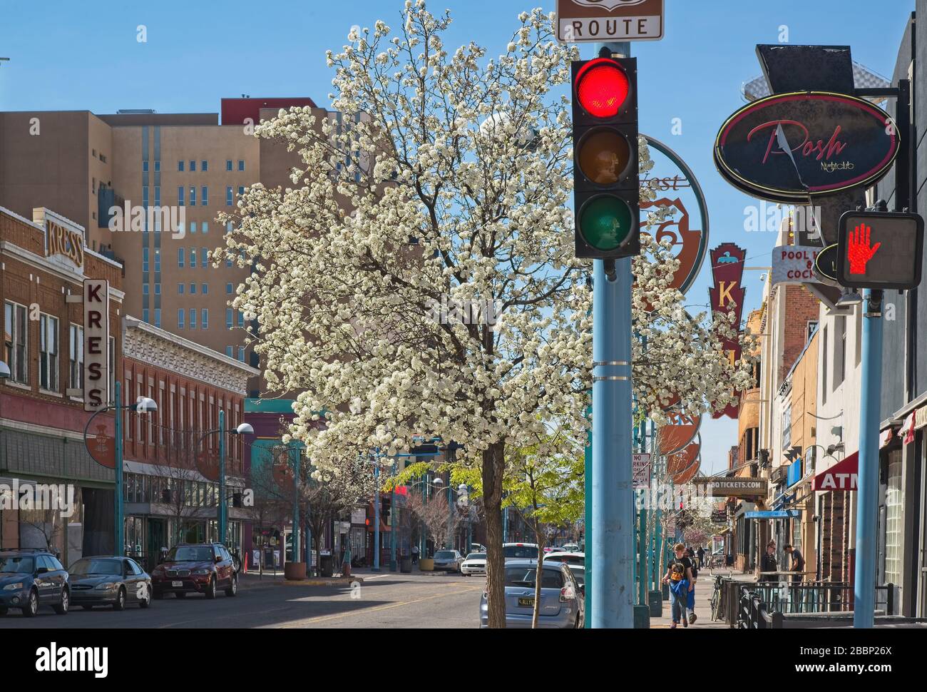 Blühende Bäume an der Central Ave. In Albuquerque zeigen ein geringes Verkehrsaufkommen aufgrund einer Pandemie. Stockfoto