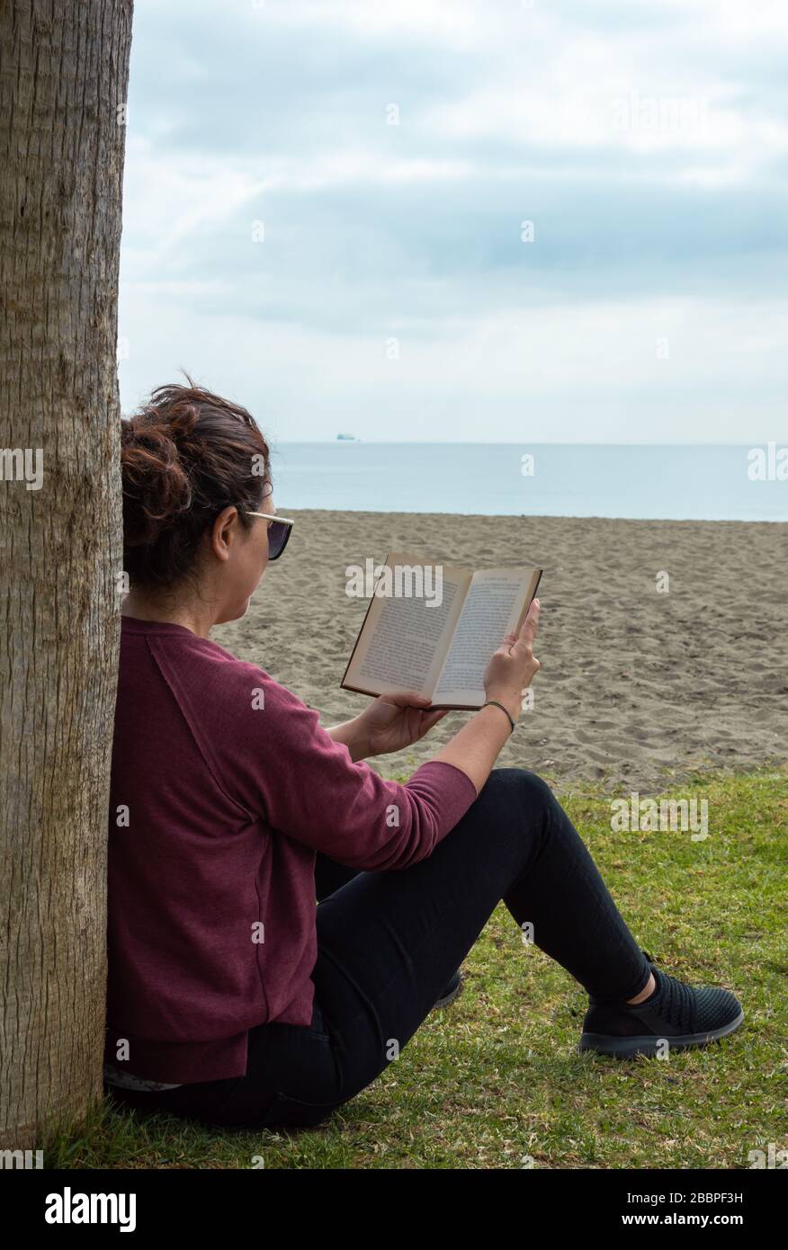 Rückansicht der Frau in lässiger Kleidung in der Nähe von Baumstamm und Lesebuch am Strand gegen Meer und bewölkten Himmel Stockfoto