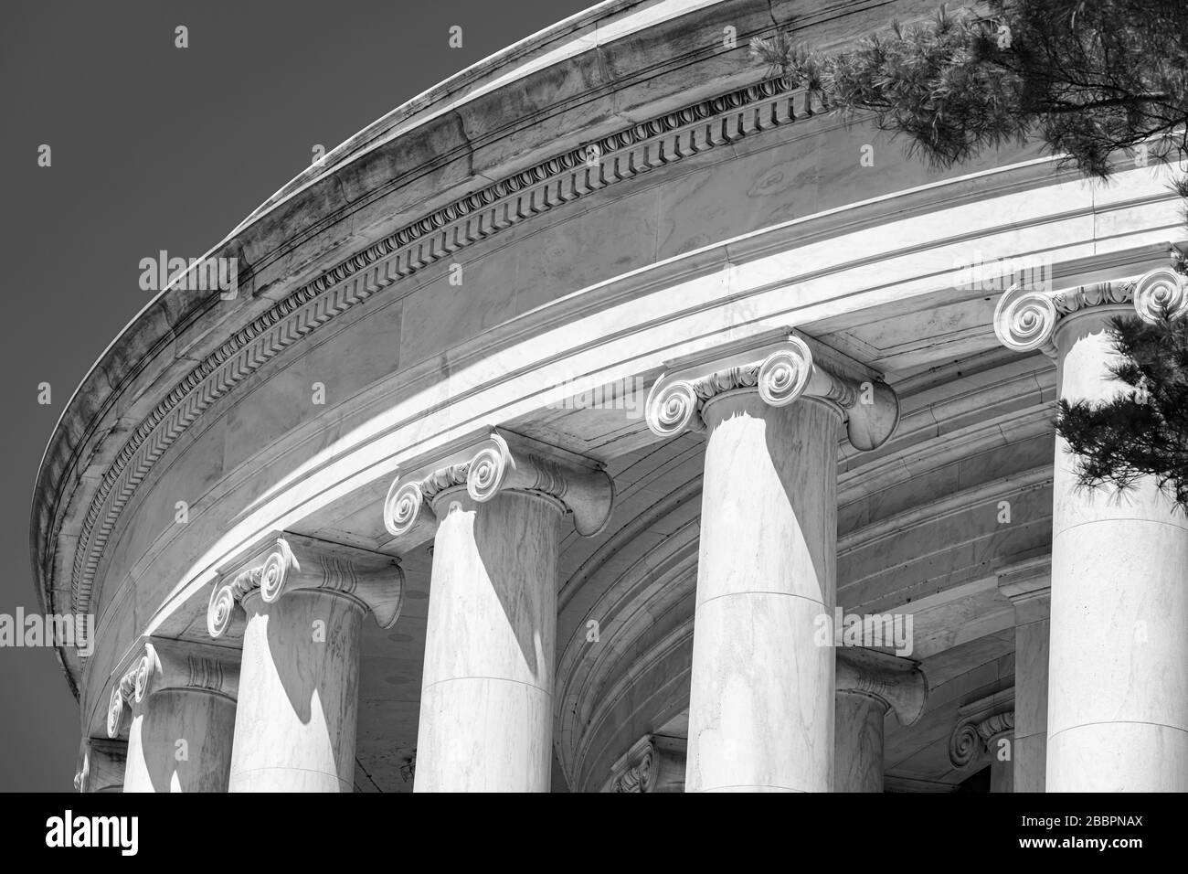 Ionenordensäulen mit gerollten Kapitellen stützen die flache Kuppel des Jefferson Memorial in Washington DC. Stockfoto