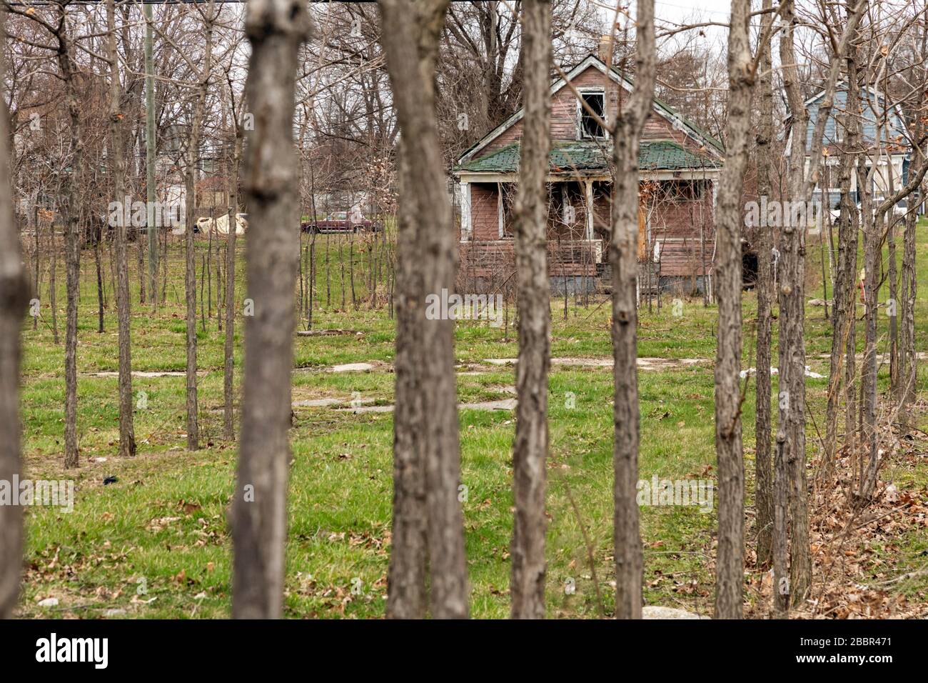 Detroit, Michigan - ein verlassenes Haus hinter Baumreihen, Teil der Baumfarm Hantz Woodlands. Die große Menge an leerem Land in Detroit hat es erlaubt Stockfoto