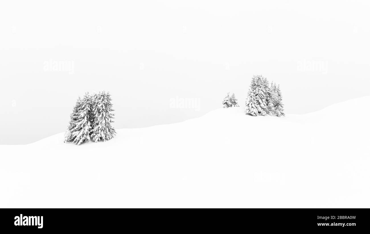 Einige Bäume in der Winterschneelandschaft, ziemlich minimalistische Szene sehr erholsam ruhig Stockfoto