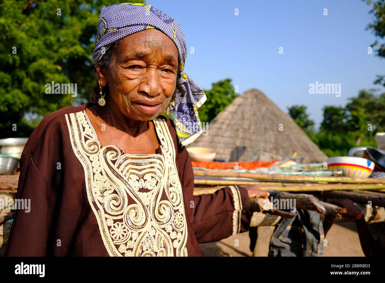 Porträt einer Mbororo-Frau mit schwachen traditionellen Tätowierungen im Gesicht. Stockfoto