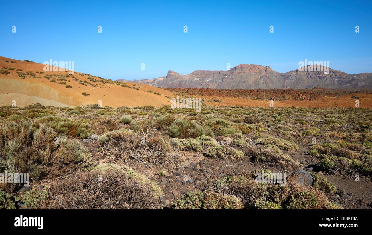 Schöne Landschaft im Teide-Nationalpark, auf Teneras, Spanien. Stockfoto