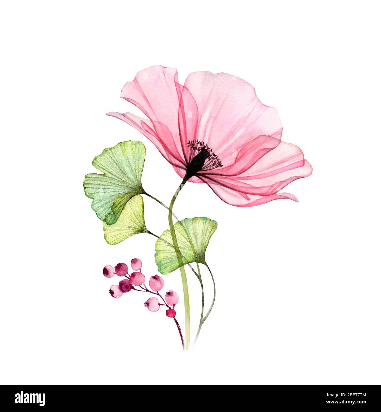 Wasserfarben-Poppy-Bouquet. Große rosafarbene Blume mit Blättern und Beeren isoliert auf Weiß. Handgemalte Kunstwerke mit detaillierten Kronblättern. Botanische Illustration Stockfoto