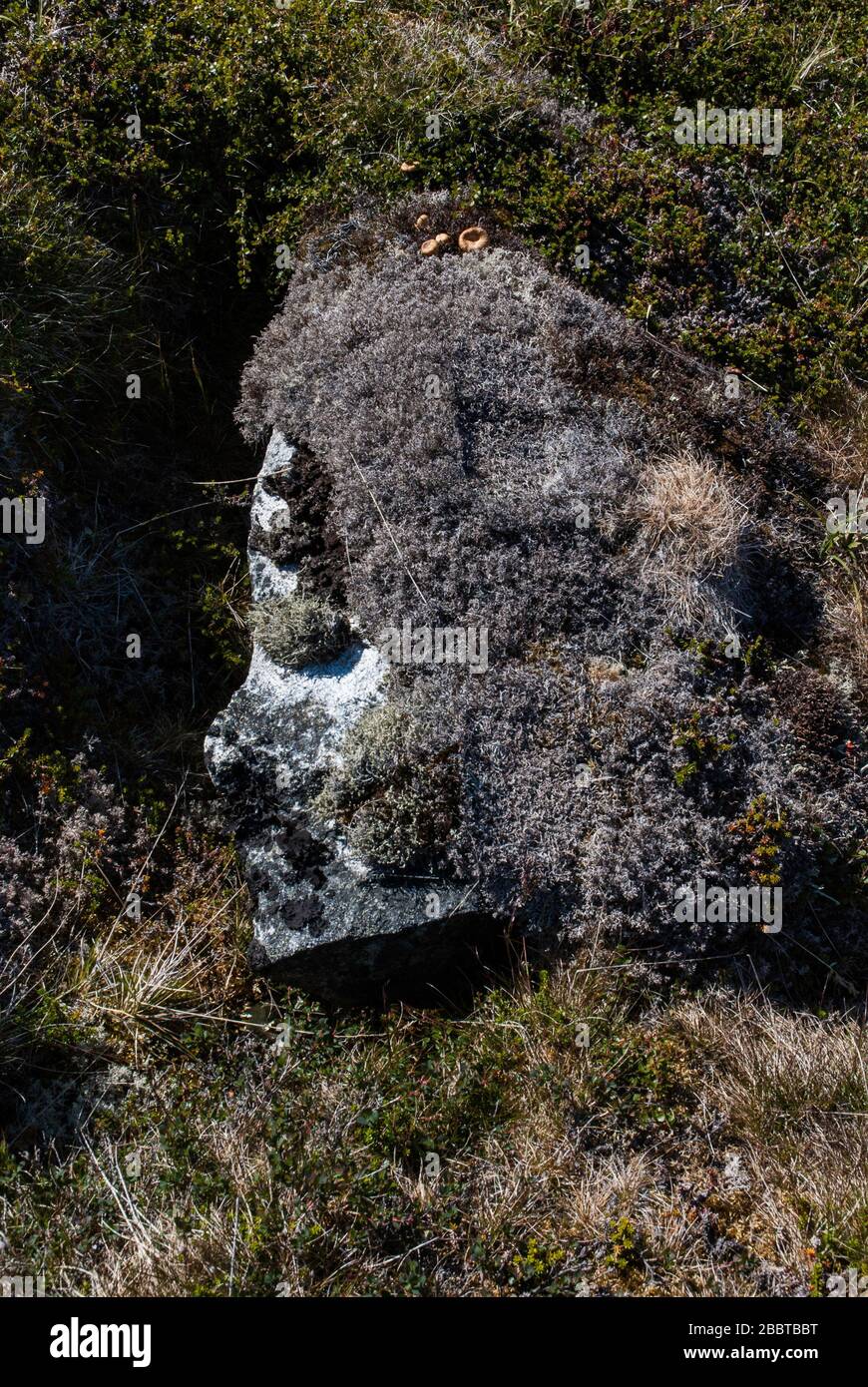 Gesicht im Felsen. Grönlandlandschaft. Stockfoto