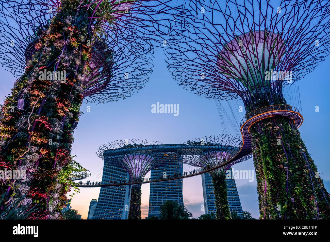 Garten an der Bucht Super Tree in Singapur City Stockfoto