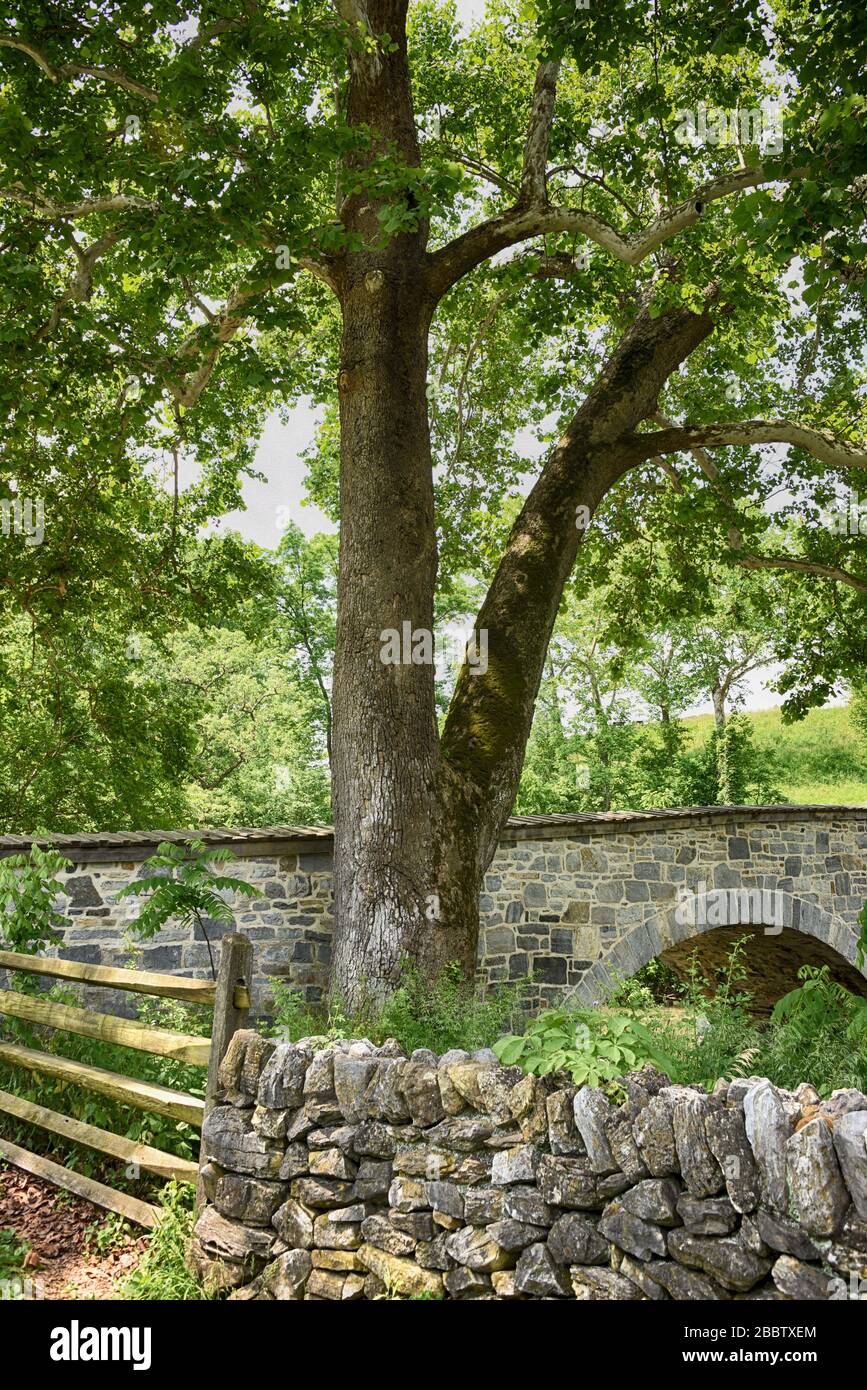 Burnside Bridge, Antietam Battlefield, Sharpsburg, MD Stockfoto