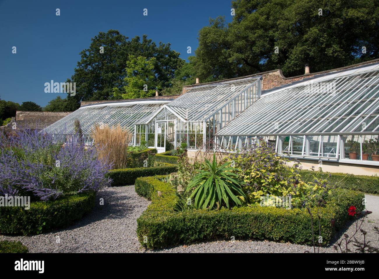 Wintergarten Glasshouse Greenhouse Garden Landscape at Fulham Palace, Bishop's Avenue, Fulham, London, SW6 6EA Stockfoto