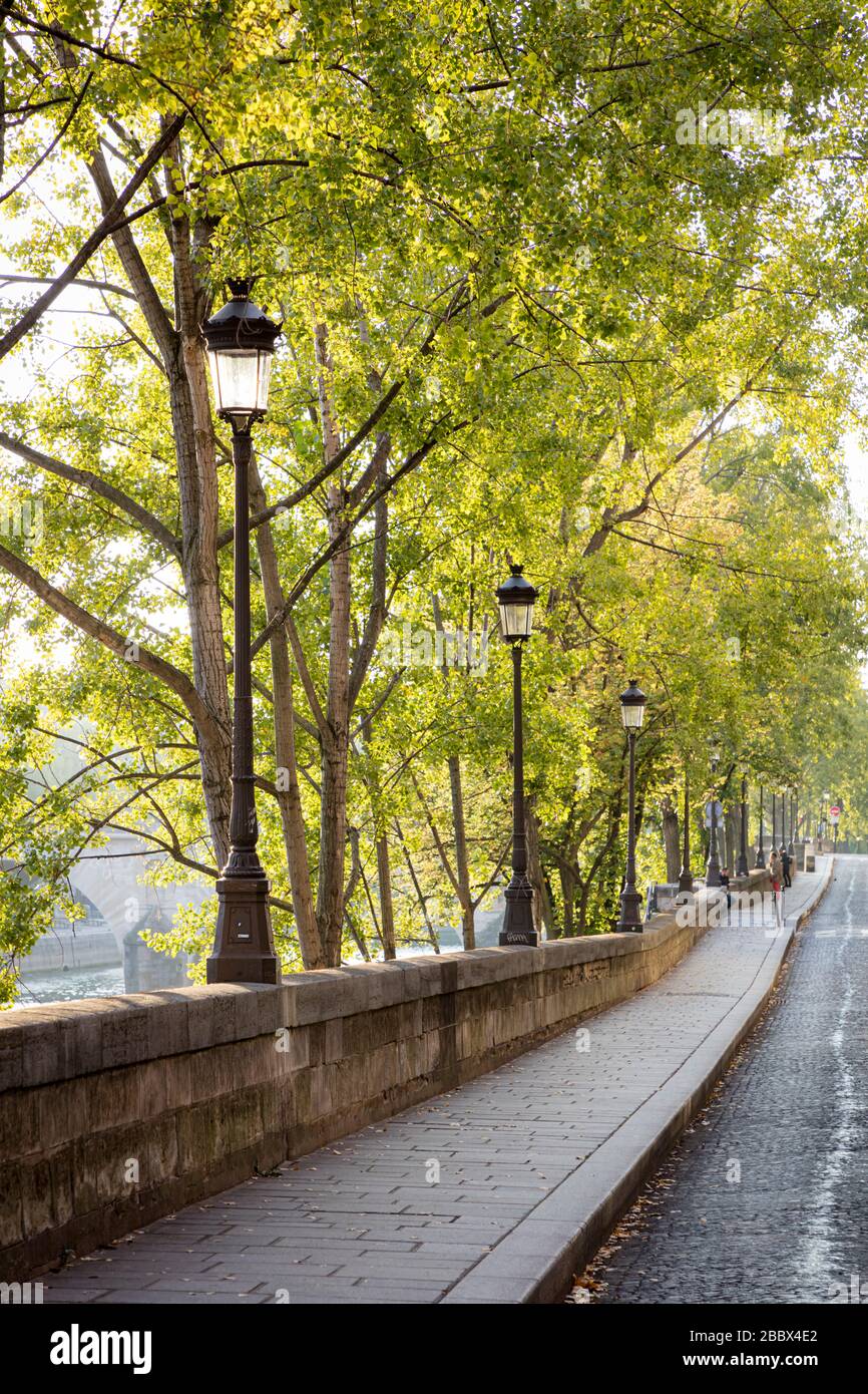 Sonnenlicht am frühen Morgen auf einem von Bäumen gesäumten Gehweg entlang der seine auf der Ile Saint Louis, Paris, Frankreich Stockfoto