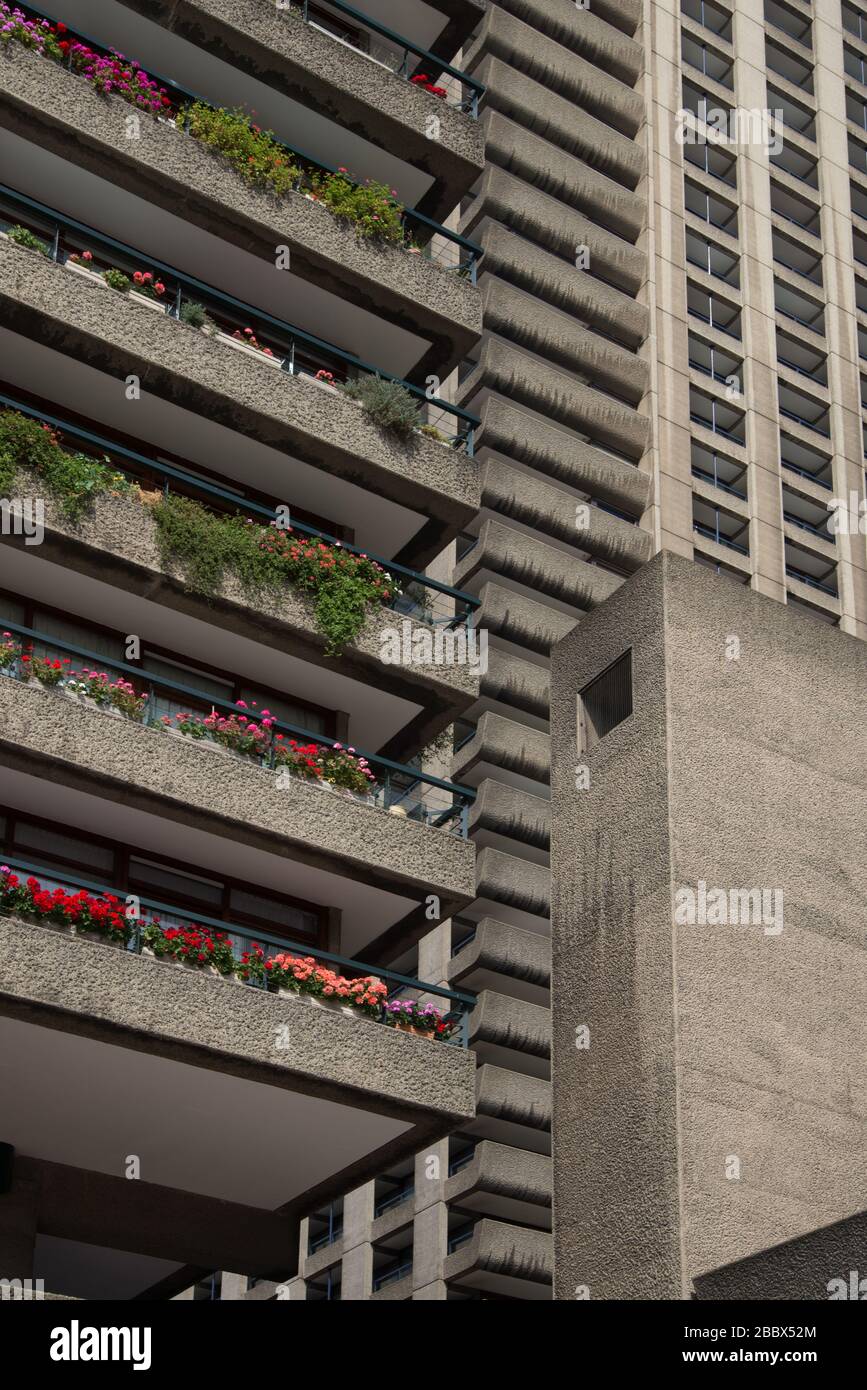 Blumen auf Balcony Concrete Architektur Barbican Estate aus den 1960er Jahren von Chamberlin Powell und Bon Architects Ove Arup in Silk Street, London Stockfoto