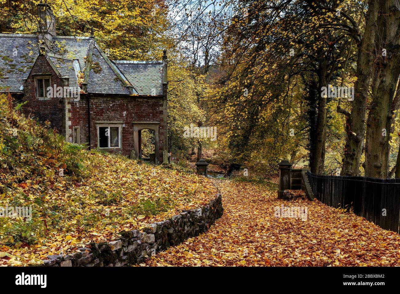 Herbstliches Laub auf einem Pfad bei Wood Lodge in Hinkley Wood, Ilam, Staffordshire, Peak District National Park, England, Großbritannien Stockfoto