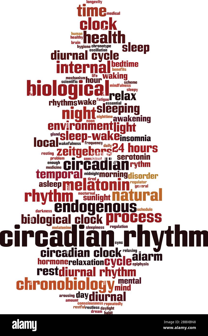 Konzept der zirkadianen Rhythmus-Wortwolke. Collage aus Worten über den zirkadianen Rhythmus. Vektorgrafik Stock Vektor
