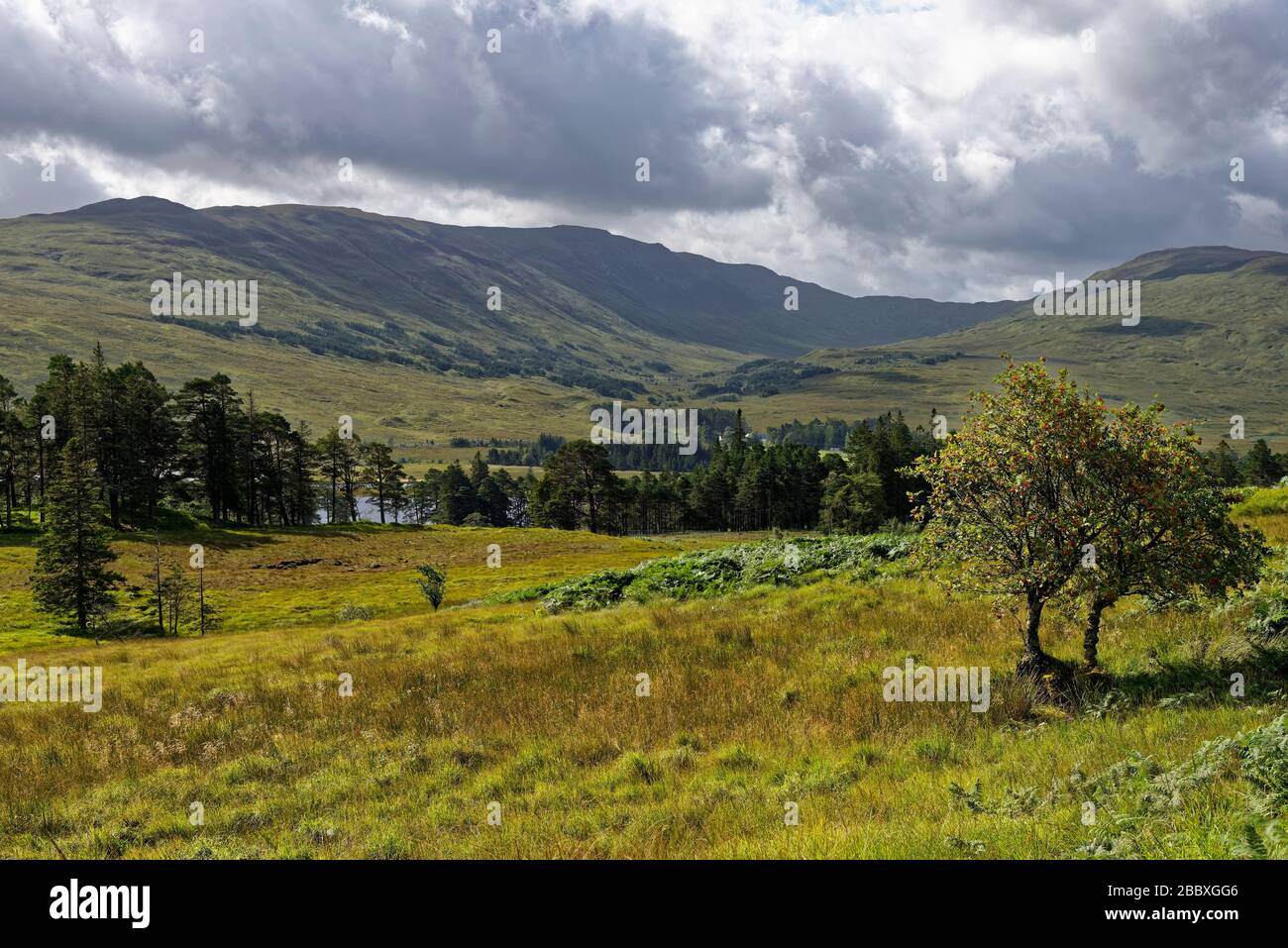 Ben Inverveigh (639M links) & Meall Tairbh (665M rechts) vom West Highland Way in der Nähe von Forest Lodge, Loch Tulla, Argyll & Bute, Schottland, Großbritannien Stockfoto