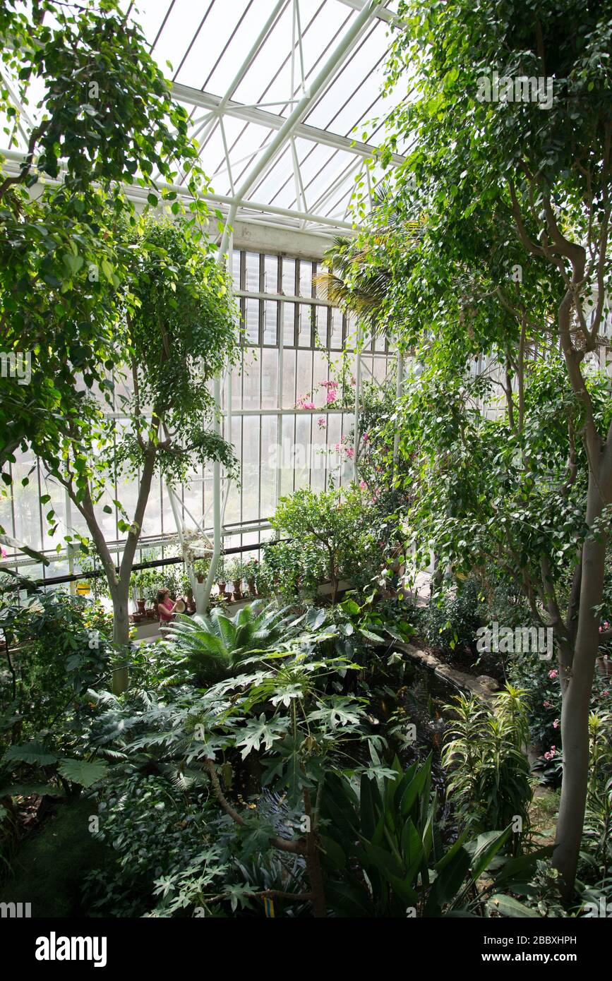 Barbican Conservatory Concrete Architektur Barbican Estate aus den 1960er Jahren von Chamberlin Powell und Bon Architects Ove Arup in Silk Street, London Stockfoto