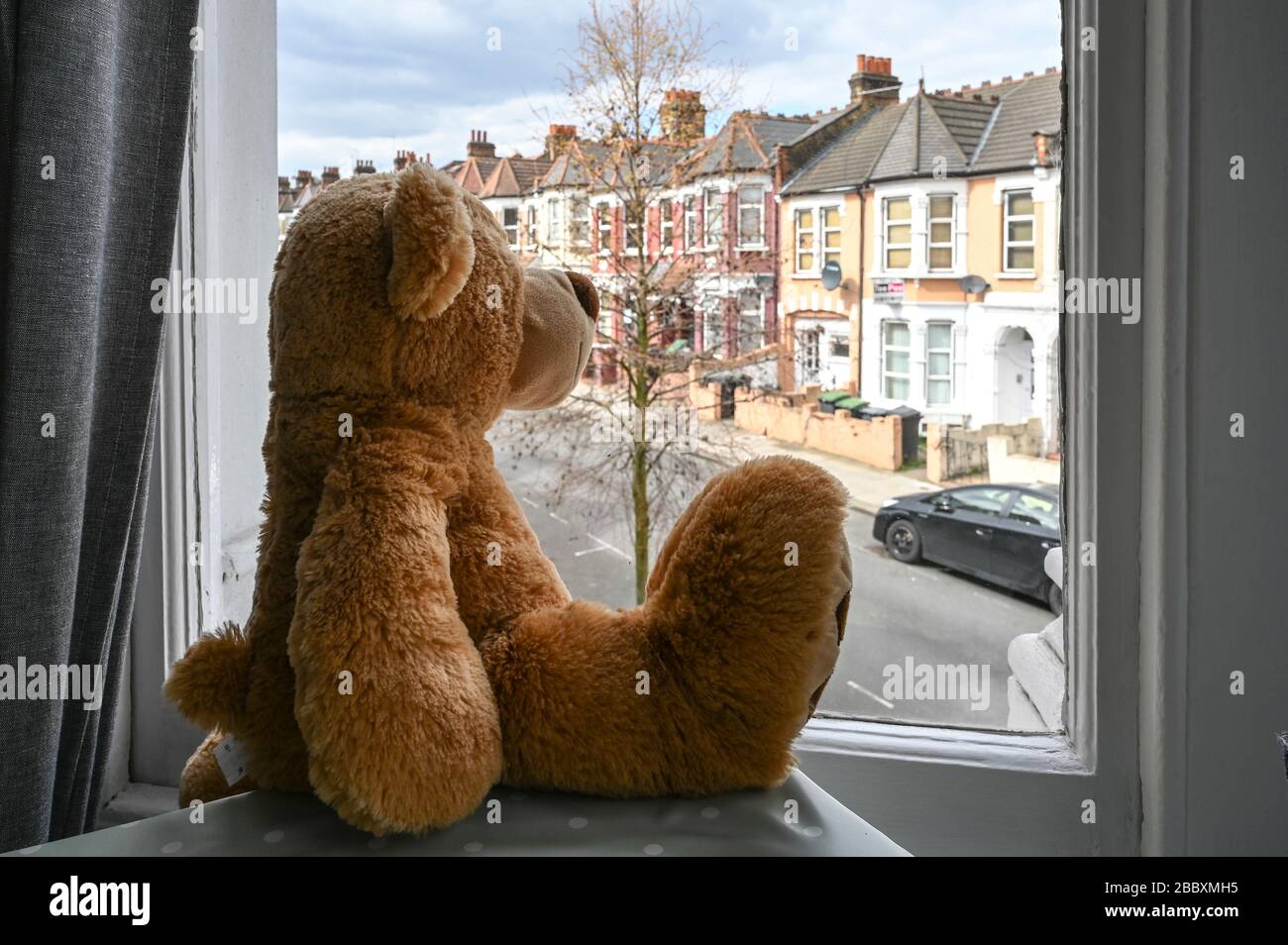 Teddybär aus einem Fenster, das nach einem vorbeiziehenden Kind sucht, um es bei der "Bärenjagd" während der Coronavirus-Pandemie zu entdecken. Stockfoto