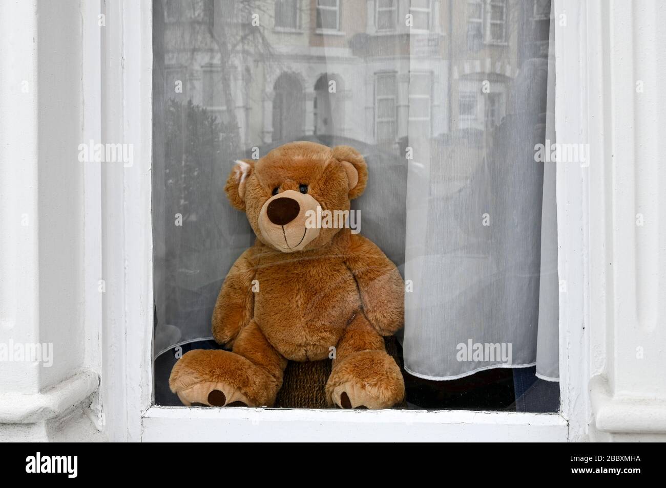 Der Teddybär, der aus einem Fenster rast und darauf wartet, dass ein vorbeigehendes Kind es bei der "Bärenjagd" während der Coronavirus-Pandemie erspähen kann. Stockfoto