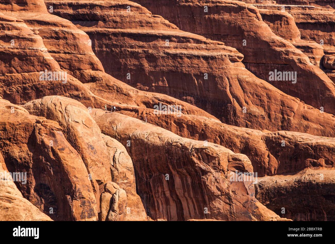 Vier Personen auf einer Finne aus Sandstein im Devils Garden, Arches National Park, Utah. Stockfoto